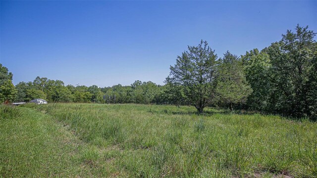 3340 Stonehouse Rd, De Soto, MO 63020 - view of tree filled area