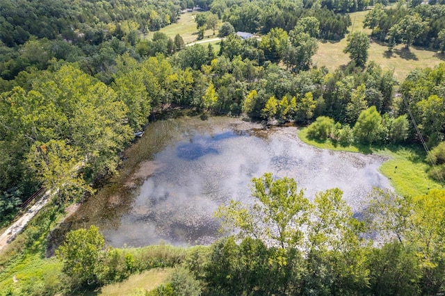 3340 Stonehouse Rd, De Soto, MO 63020 - view of property location featuring a forest and a large body of water