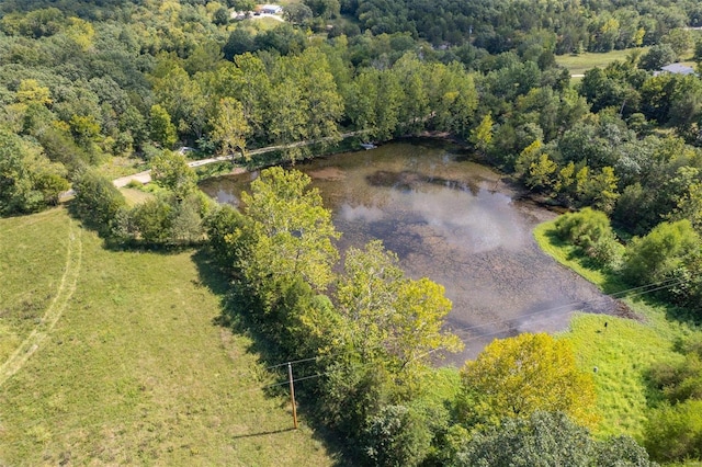 3340 Stonehouse Rd, De Soto, MO 63020 - aerial view of a forest