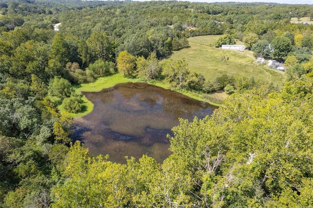 3340 Stonehouse Rd, De Soto, MO 63020 - aerial view of a forest and a large body of water