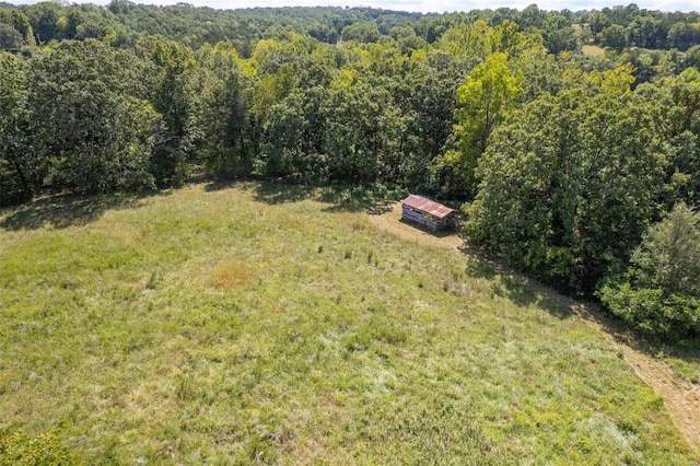 3340 Stonehouse Rd, De Soto, MO 63020 - bird's eye view of a forest