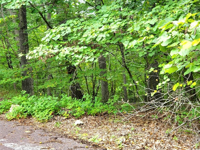 525 Micah Rd, Catawissa, MO 63015
