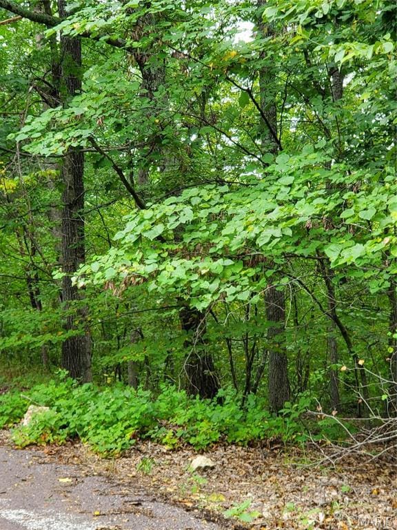 525 Micah Rd, Catawissa, MO 63015