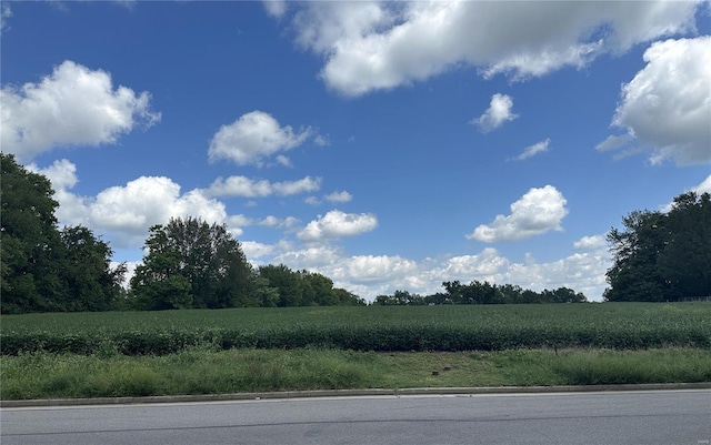view of asphalt street with a rural view, curbs, and agricultural area