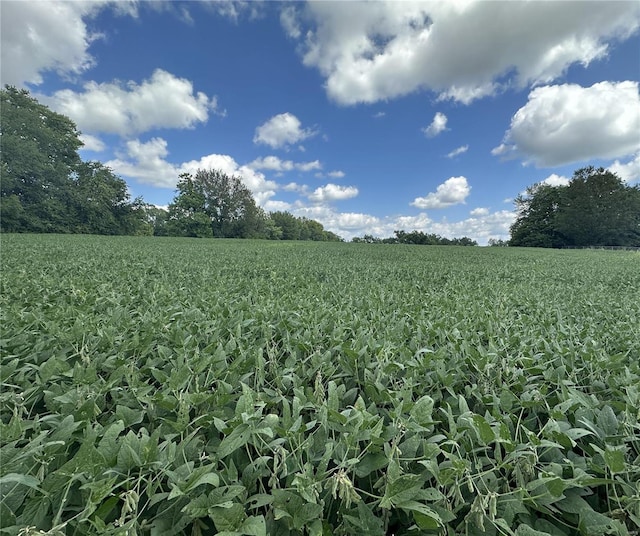 view of nature featuring rows of crops and rural landscape