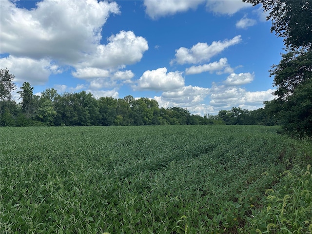 view of local wilderness featuring rural landscape and farmland