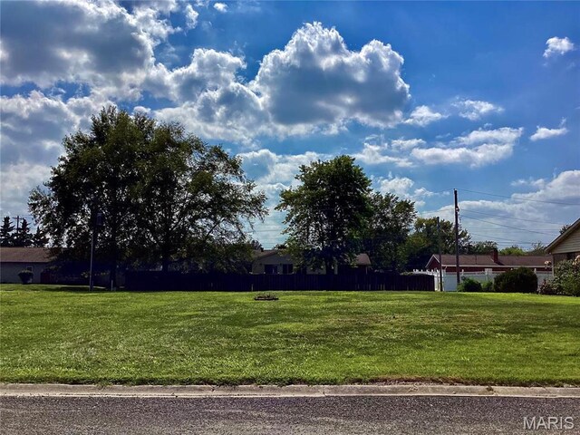 109 Willow Dr, Freeburg, IL 62243 - photo 3