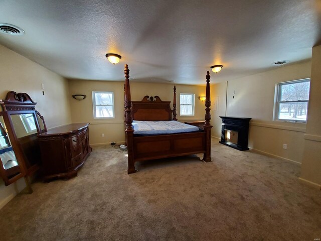 801 S Front St, La Grange, MO 63448 - bedroom with multiple windows, light colored carpet, baseboards, and a textured ceiling