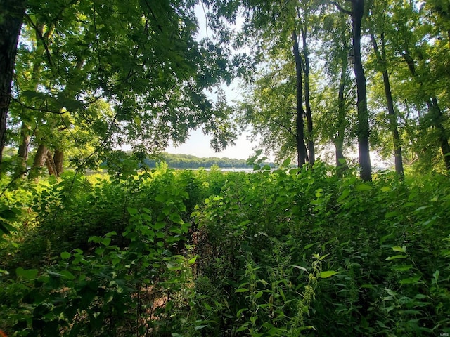 801 S Front St, La Grange, MO 63448 - view of nature