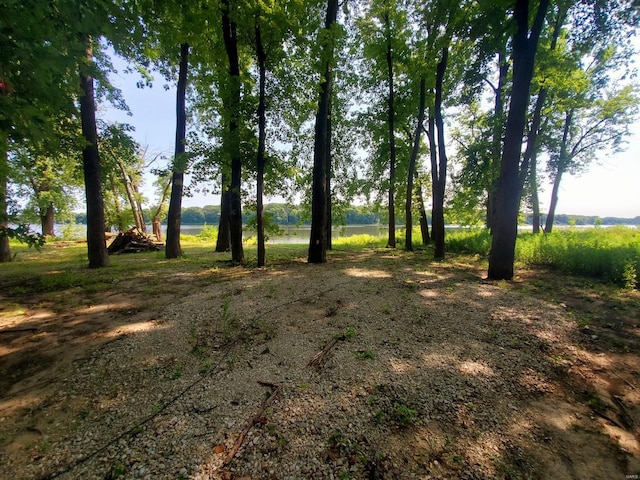 801 S Front St, La Grange, MO 63448 - view of nature