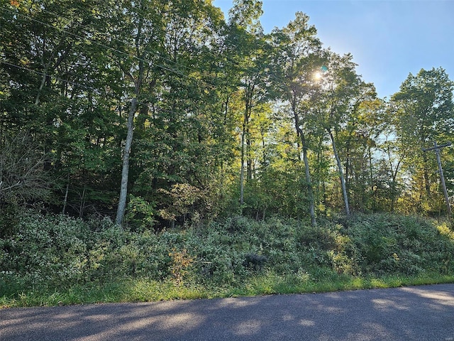 1541 King Arthur Dr, Lake Sherwood, MO 63357