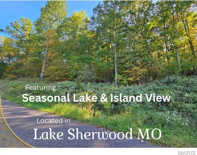 1541 King Arthur Dr, Lake Sherwood, MO 63357