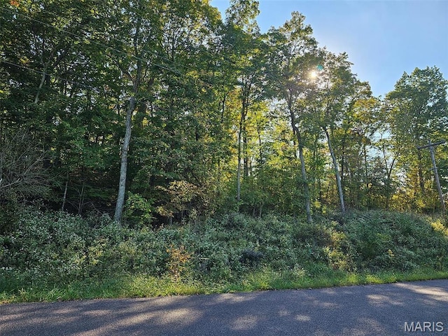 1541 King Arthur Dr, Lake Sherwood, MO 63357