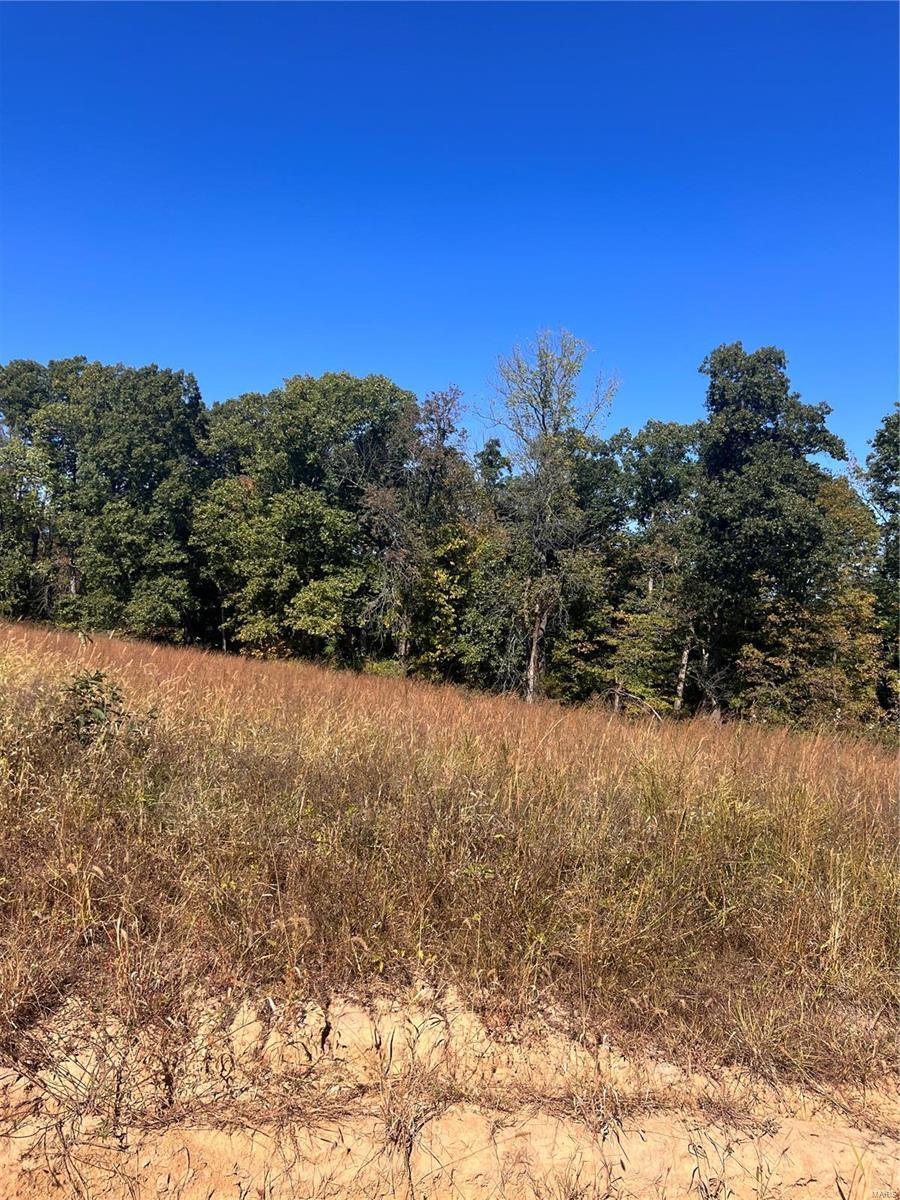 2 Gratzer Ln, Saint Clair, MO 63077