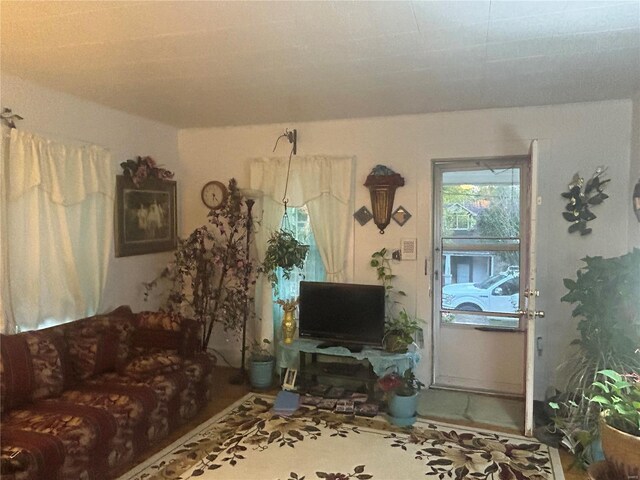 1409 Spring St, Poplar Bluff, MO 63901 - view of living area