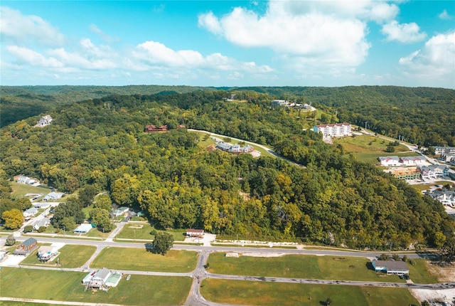 1 Tara Point Dr, Grafton, IL 62037 - photo 15