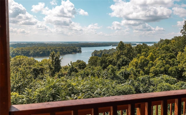 1 Tara Point Dr, Grafton, IL 62037 - photo 79