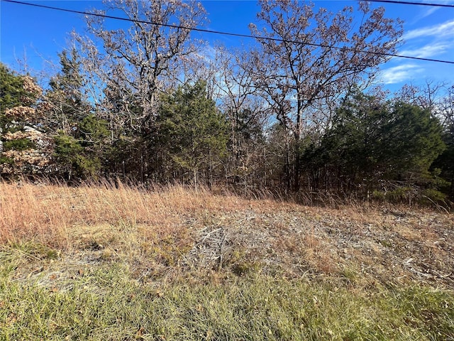 2 Napoleon Dr, Bonne Terre, MO 63628