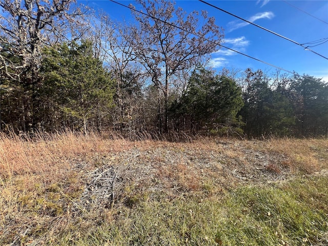 2 Napoleon Dr, Bonne Terre, MO 63628