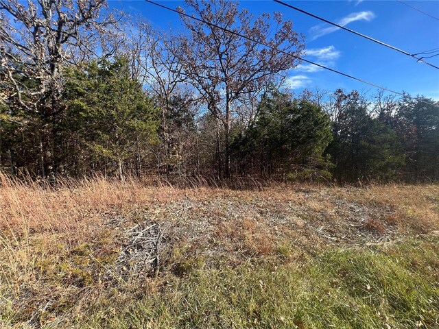 2 Napoleon Dr, Bonne Terre, MO 63628