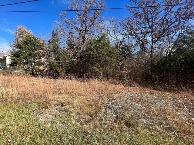 2 Napoleon Dr, Bonne Terre, MO 63628