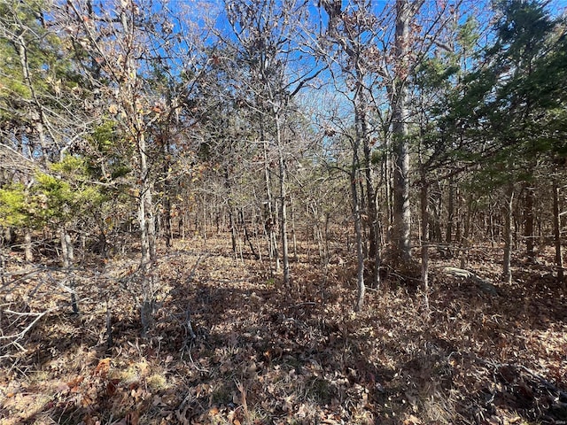 2 Napoleon Dr, Bonne Terre, MO 63628