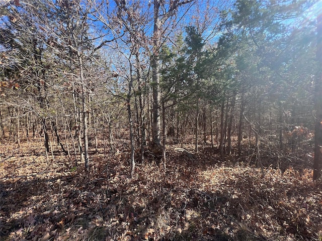2 Napoleon Dr, Bonne Terre, MO 63628