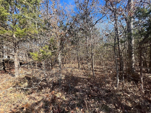 2 Napoleon Dr, Bonne Terre, MO 63628