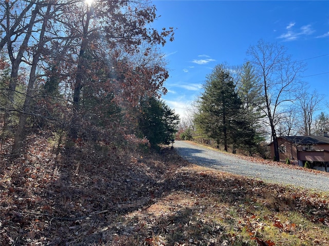 0 Amy Ct, Bonne Terre, MO 63628