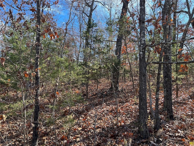 0 Amy Ct, Bonne Terre, MO 63628