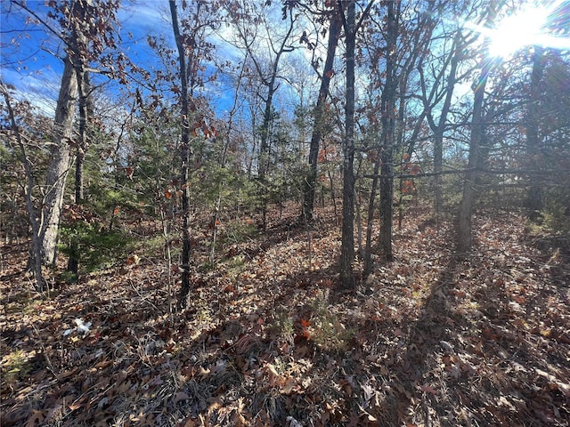 0 Amy Ct, Bonne Terre, MO 63628