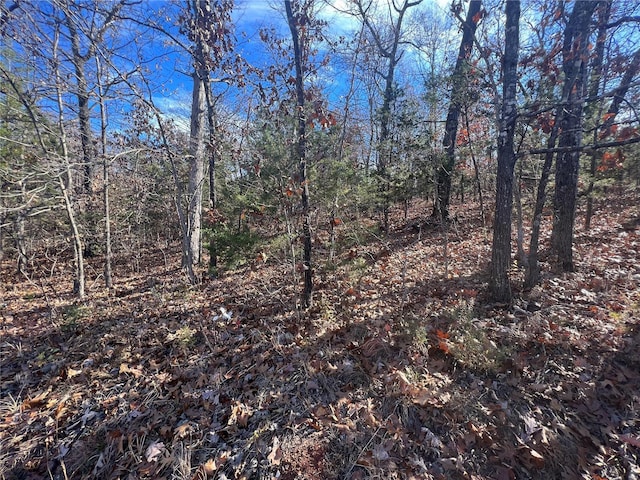 0 Amy Ct, Bonne Terre, MO 63628
