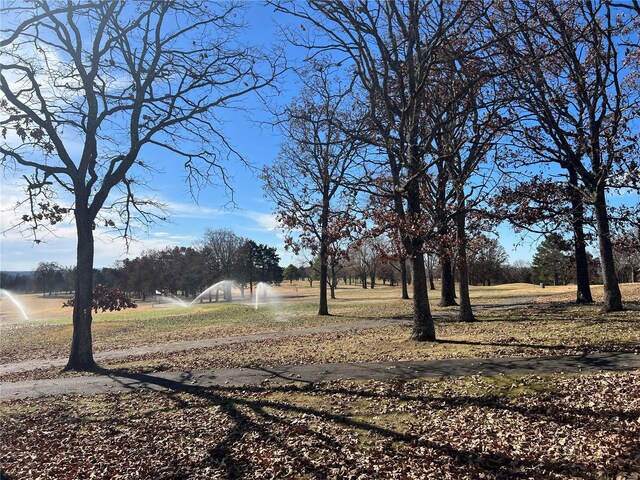0 Amy Ct, Bonne Terre, MO 63628