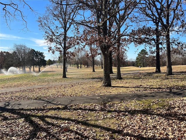 0 Amy Ct, Bonne Terre, MO 63628