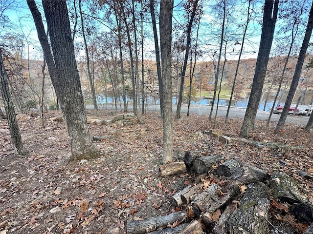 5149 N View Loop, Perryville, MO 63775