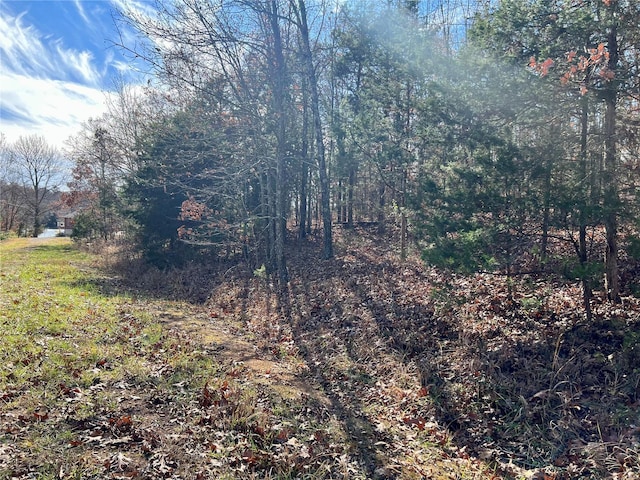 0 Rue Cheryl, Bonne Terre, MO 63628