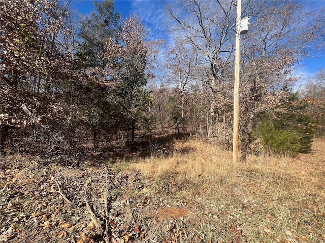 0 Rue Cheryl, Bonne Terre, MO 63628
