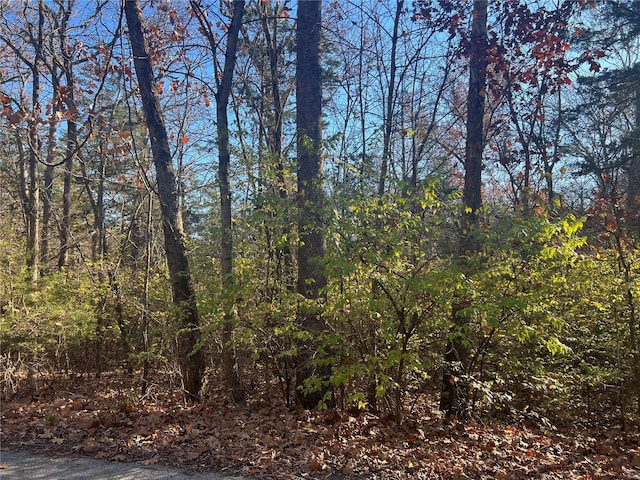 55 Deloris Dr, De Soto, MO 63020