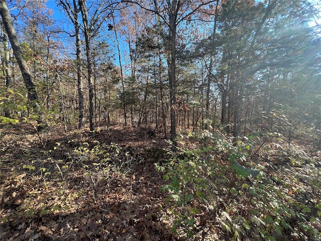 63 Deloris Dr, De Soto, MO 63020 - photo 2