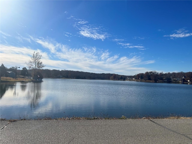 14234 Lucas Dr, De Soto, MO 63020 - photo 14