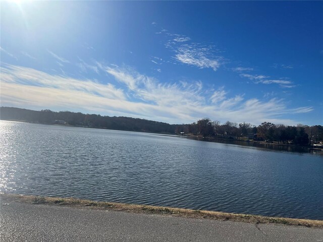 14234 Lucas Dr, De Soto, MO 63020 - photo 15
