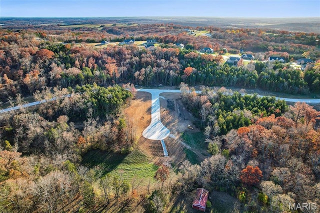 LOT44 Scarlet Oak Loop, Villa Ridge, MO 63089 - photo 4