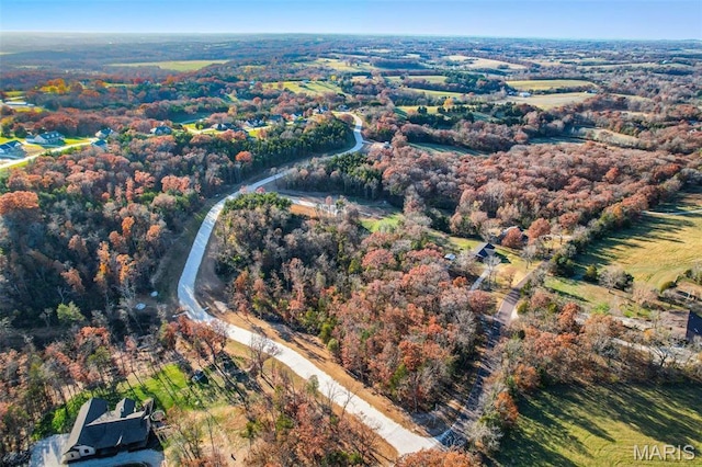 LOT44 Scarlet Oak Loop, Villa Ridge, MO 63089 - photo 5