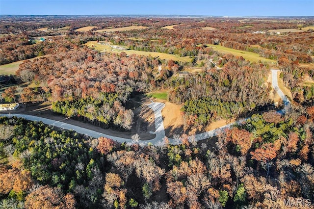 LOT44 Scarlet Oak Loop, Villa Ridge, MO 63089 - photo 6
