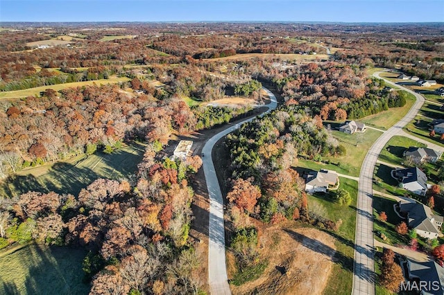 LOT44 Scarlet Oak Loop, Villa Ridge, MO 63089 - photo 7