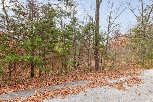 5944 Whippoorwill Dr, Hillsboro, MO 63050 - photo 1