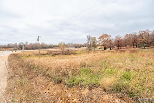 275 County Road 3231, Poplar Bluff, MO 63901 - photo 4