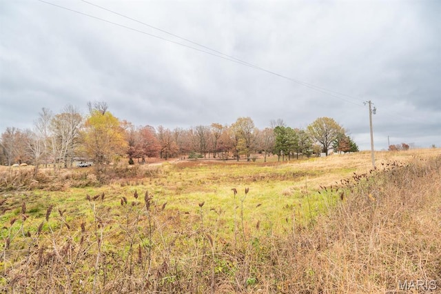 275 County Road 3231, Poplar Bluff, MO 63901 - photo 6