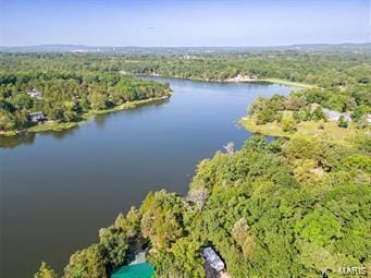 0 Brisko Ct, Bonne Terre, MO 63628