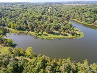 0 Brisko Ct, Bonne Terre, MO 63628